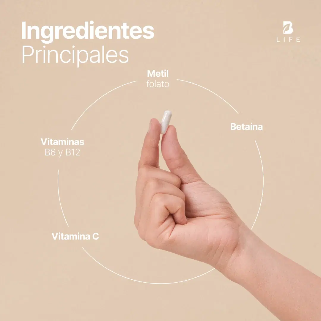 Imagen de Mezcla con Metilfolato, Vitamina C, B6 y B12 | 500 mg por Cápsula | 180 Cápsulas