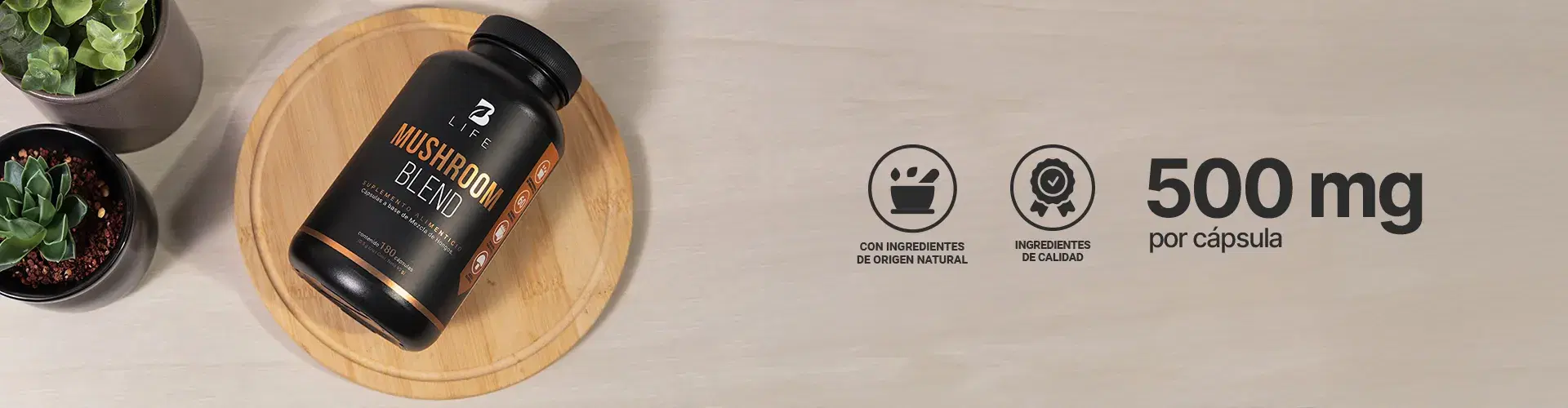 Descubre más productos para tu bienestar Descubre más productos para tu bienestar