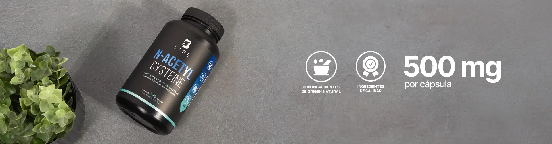 Descubre más productos para tu bienestar Descubre más productos para tu bienestar