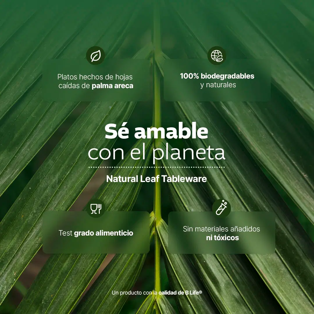 Imagen de Desechables Hoja de Palma Biodegradable
