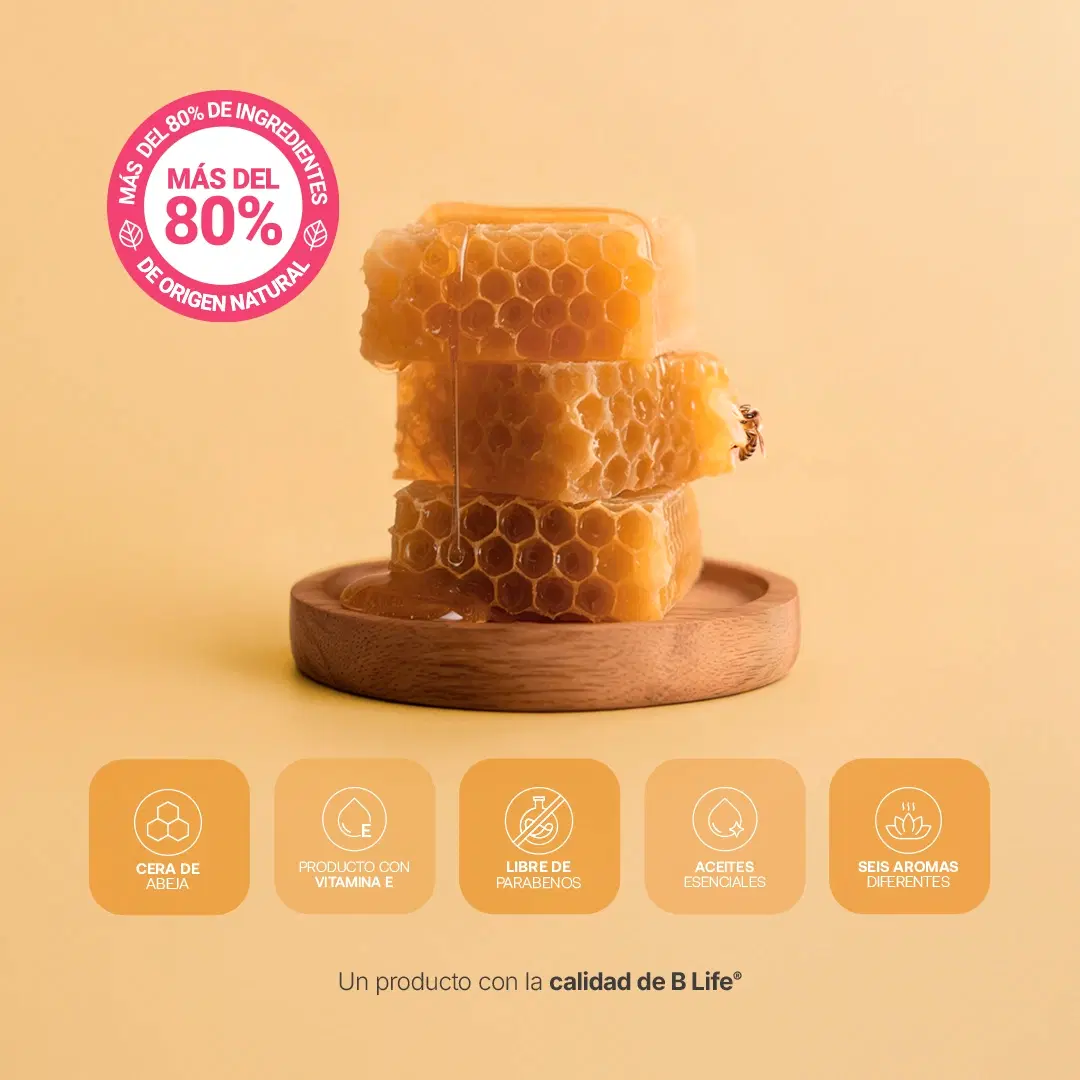 Imagen de Natural Lip Balm | Bálsamo Natural para Labios 6 piezas 3.5 g c/u