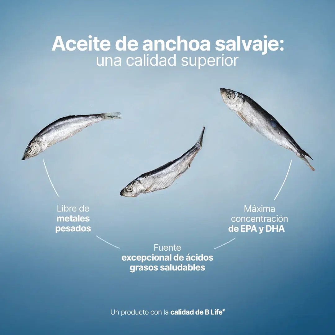 Imagen de Omega 3 Platinum | Anchoa Salvaje con EPA y DHA | sin Metales Pesados | 1000 mg por porción