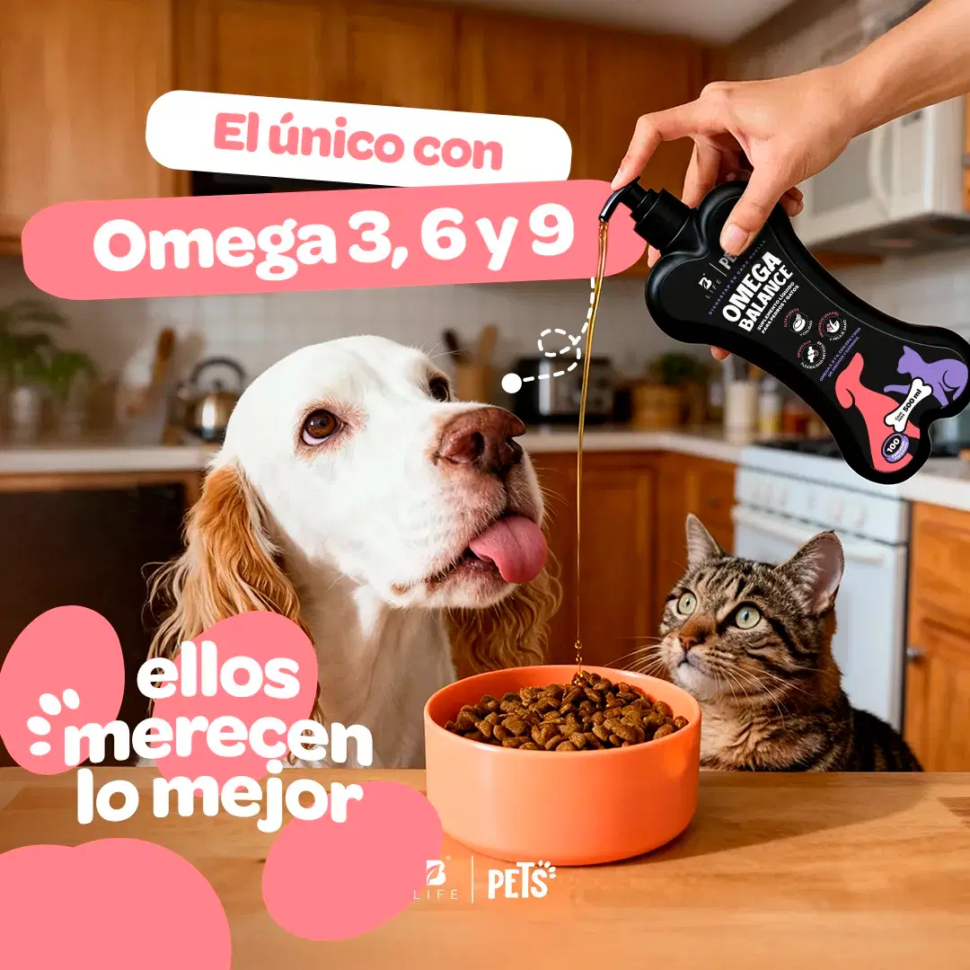 Imagen de Omega para Perros y Gatos | con Omega 3, 6 y 9 | EPA y DHA | 500 ml | Sabor pescado