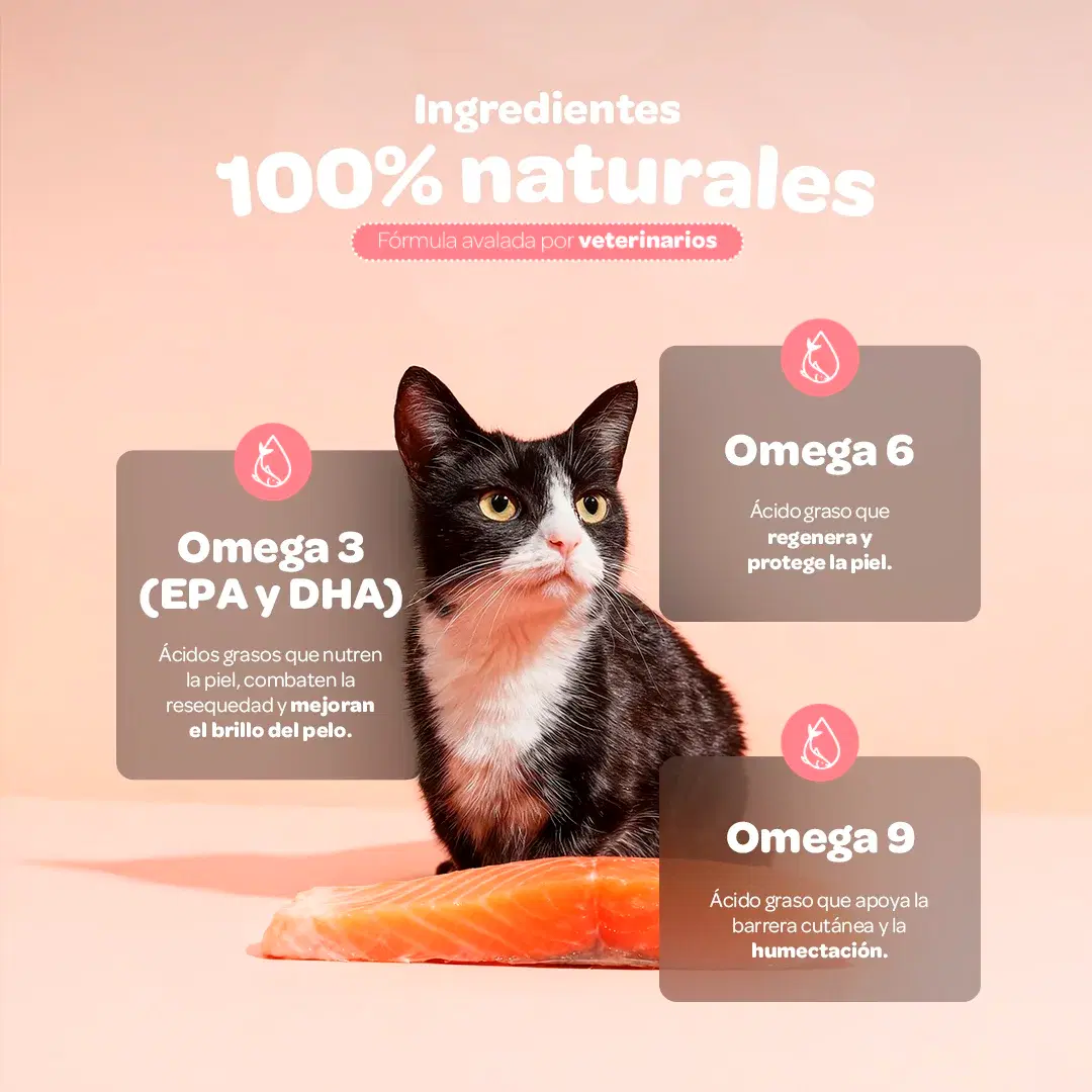 Imagen de Omega para Perros y Gatos | con Omega 3, 6 y 9 | EPA y DHA | 500 ml | Sabor pescado