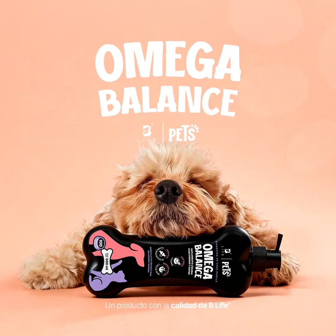Imagen de Omega para Perros y Gatos | con Omega 3, 6 y 9 | EPA y DHA | 500 ml | Sabor pescado