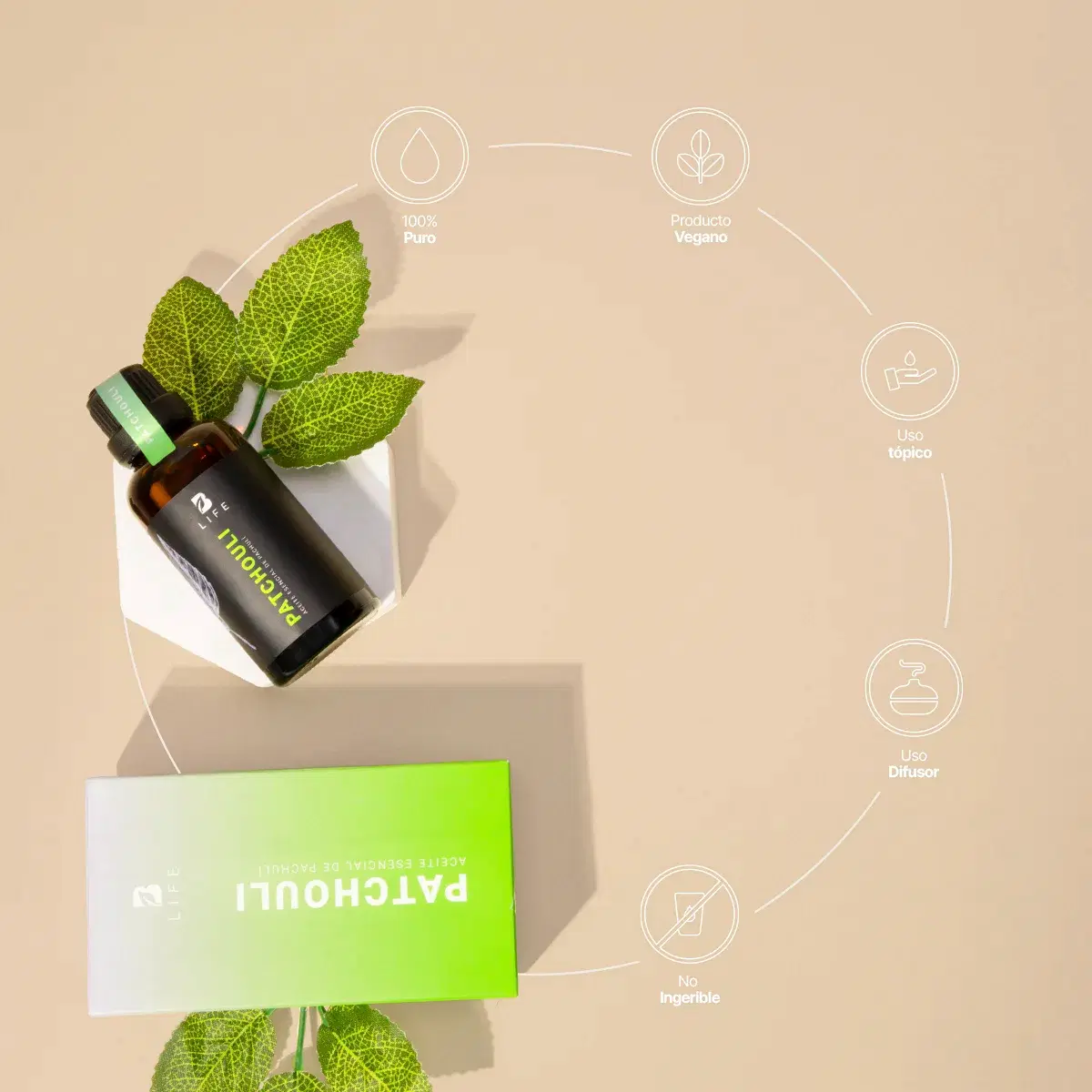 Imagen de Patchouli Essential Oil | Aceite esencial de Pachulí 50 ml