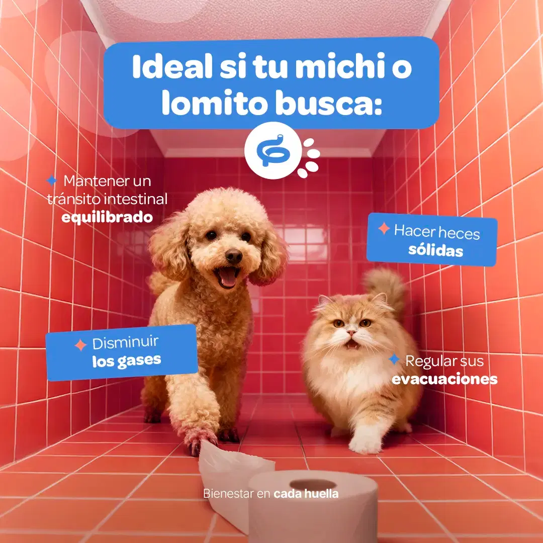 Imagen de Prebióticos para Perros y Gatos | con Inulina de Agave y Linaza | 350g