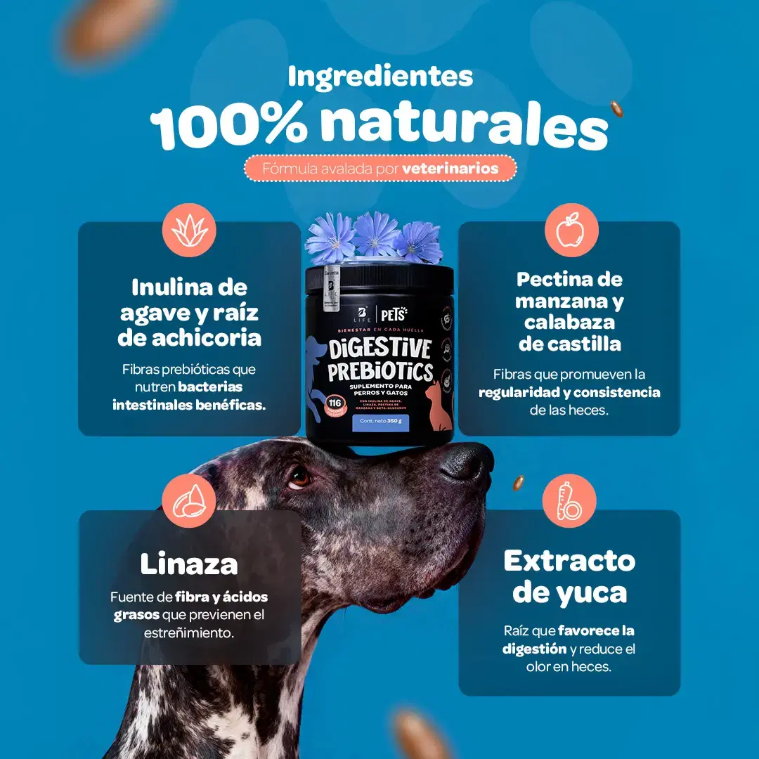 Imagen de Prebióticos para Perros y Gatos | con Inulina de Agave y Linaza | 350g