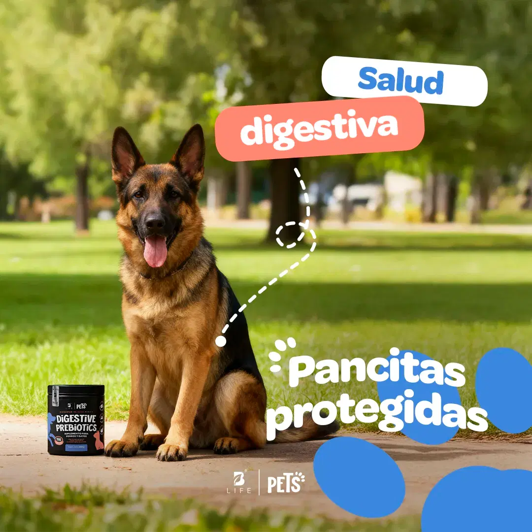 Imagen de Prebióticos para Perros y Gatos | con Inulina de Agave y Linaza | 350g