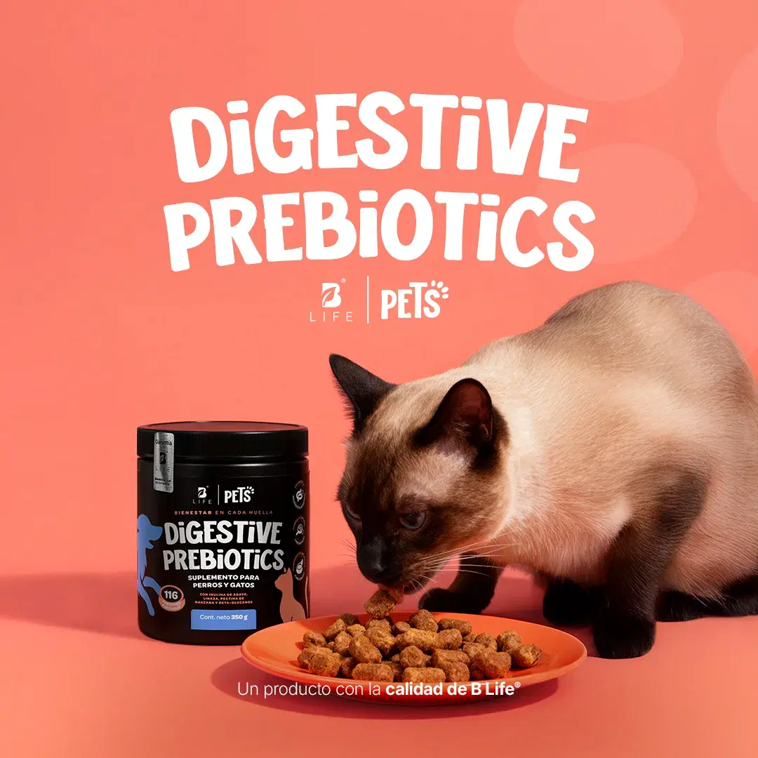 Imagen de Prebióticos para Perros y Gatos | con Inulina de Agave y Linaza | 350g