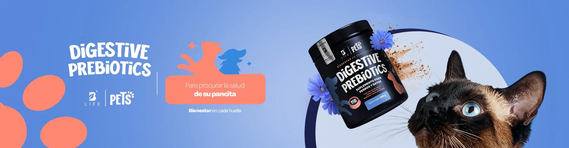 Descubre más productos para tu bienestar Descubre más productos para tu bienestar