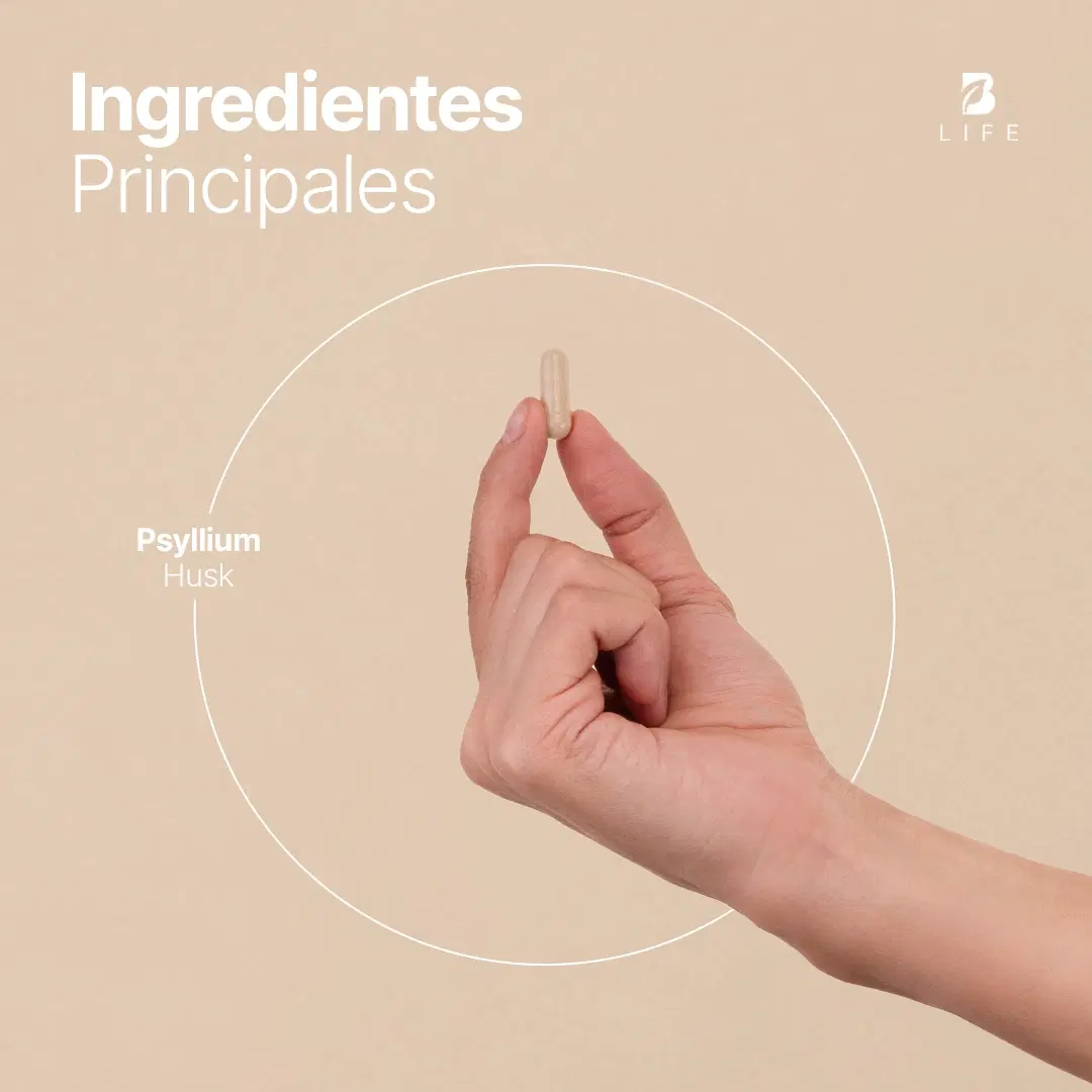 Imagen de Cápsulas de Psyllium Husk | 2000 mg por Porción | 240 Cápsulas