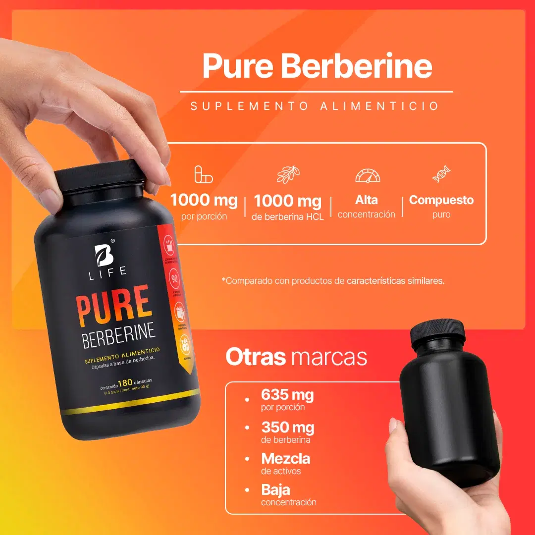 Imagen de Berberina HCL Pura 500 mg por cápsula | 1000 mg por porción