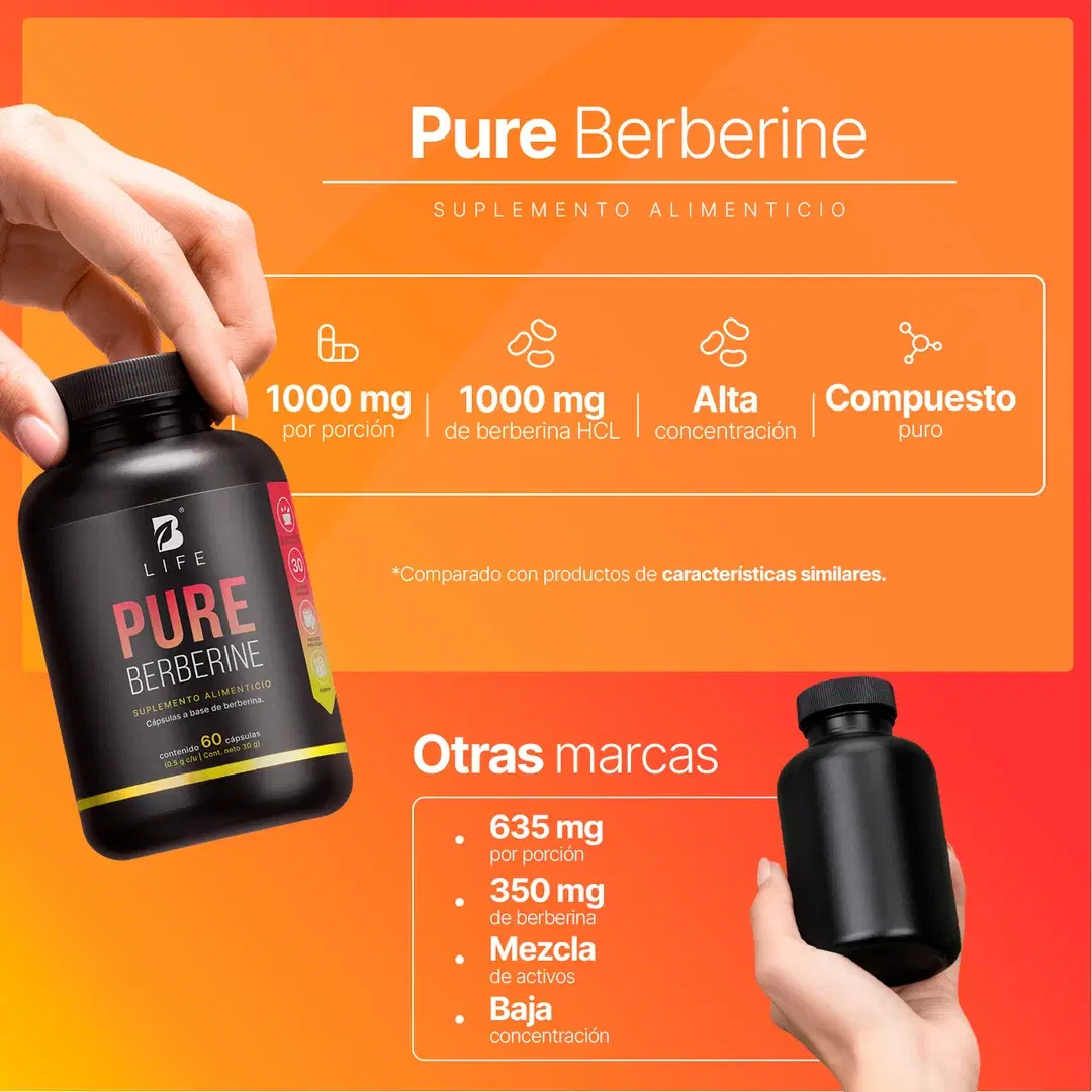 Imagen de Berberina HCL Pura 500 mg por cápsula | 1000 mg por porción