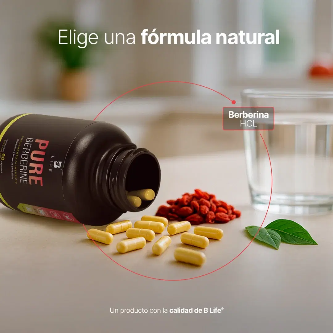 Imagen de Berberina HCL Pura 500 mg por cápsula | 1000 mg por porción