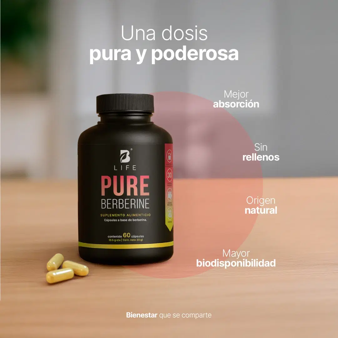 Imagen de Berberina HCL Pura 500 mg por cápsula | 1000 mg por porción