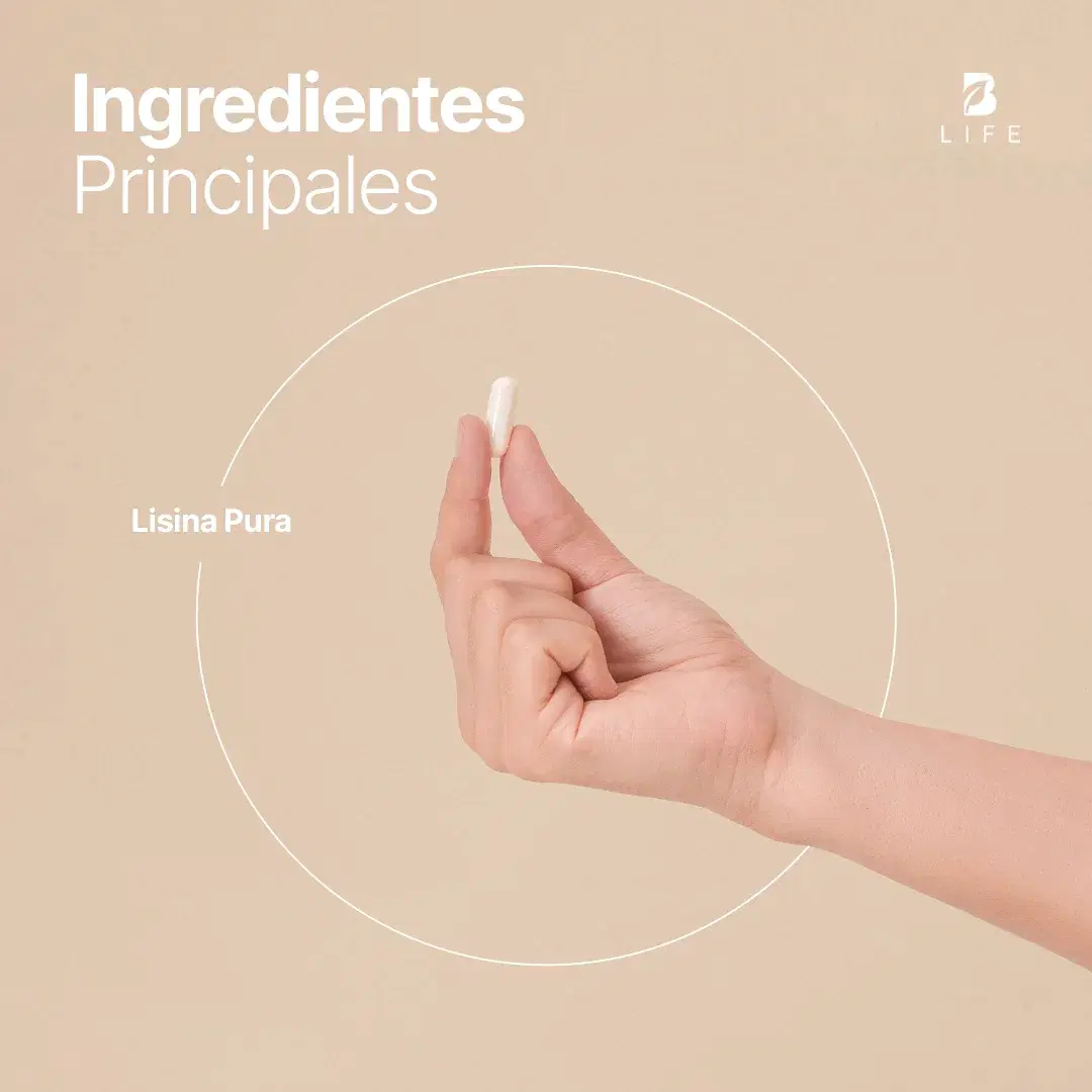 Imagen de Lisina Pura | 240 cápsulas | 1400 mg por porción