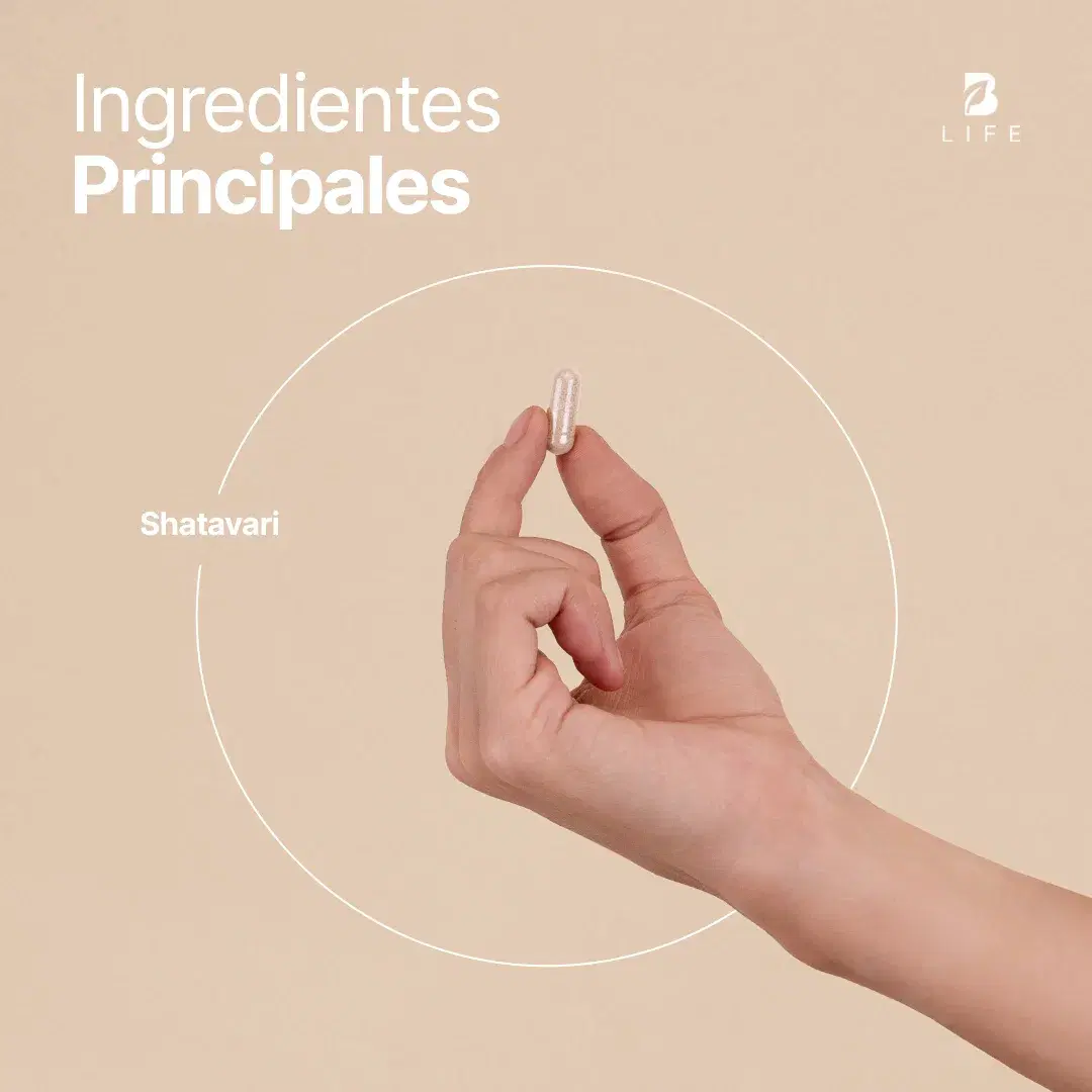 Imagen de Shatavari Puro | 1000 mg por porción | 180 cápsulas