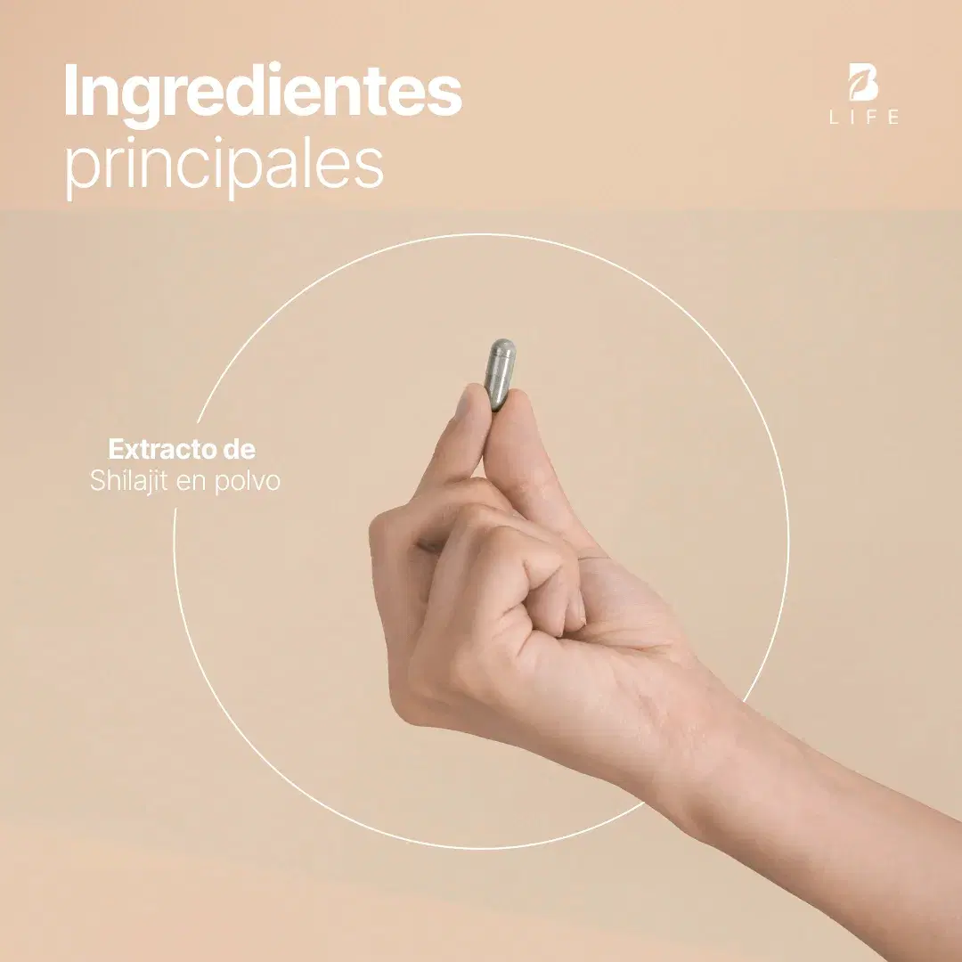 Imagen de Shilajit Puro | Alta Pureza | 120 cápsulas