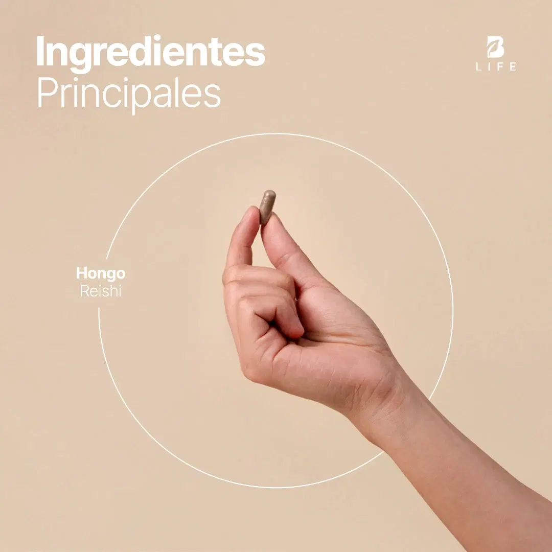 Imagen de Hongo Reishi | 450 mg de Concentración