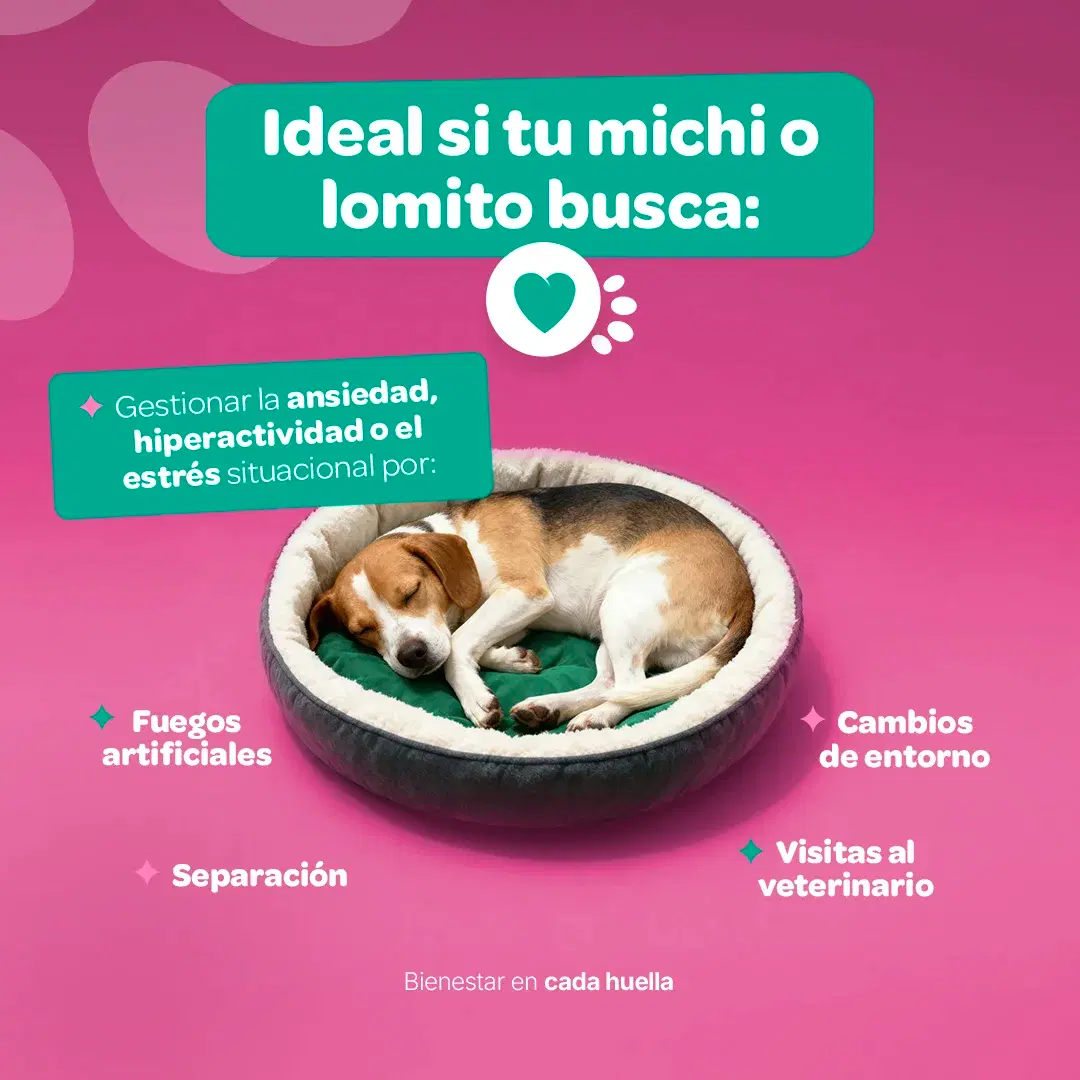 Imagen de Relax & Calm | Suplemento para Perros y Gatos | con Magnesio, Valeriana y GABA | 350g | Sabor Res