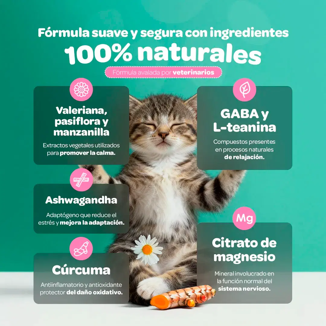 Imagen de Relax & Calm | Suplemento para Perros y Gatos | con Magnesio, Valeriana y GABA | 350g | Sabor Res