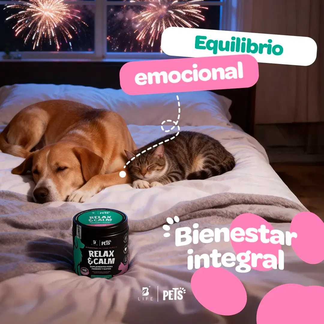 Imagen de Relax & Calm | Suplemento para Perros y Gatos | con Magnesio, Valeriana y GABA | 350g | Sabor Res