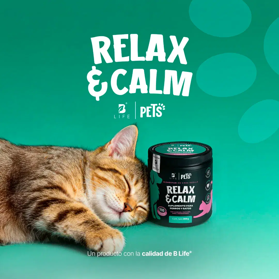 Imagen de Relax & Calm | Suplemento para Perros y Gatos | con Magnesio, Valeriana y GABA | 350g | Sabor Res