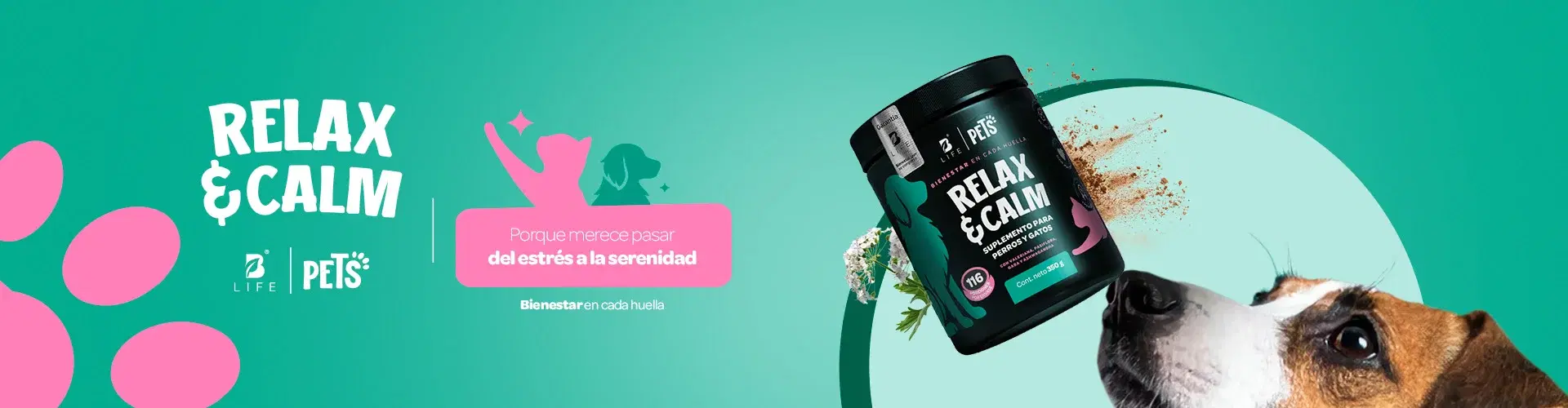 Descubre más productos para tu bienestar Descubre más productos para tu bienestar