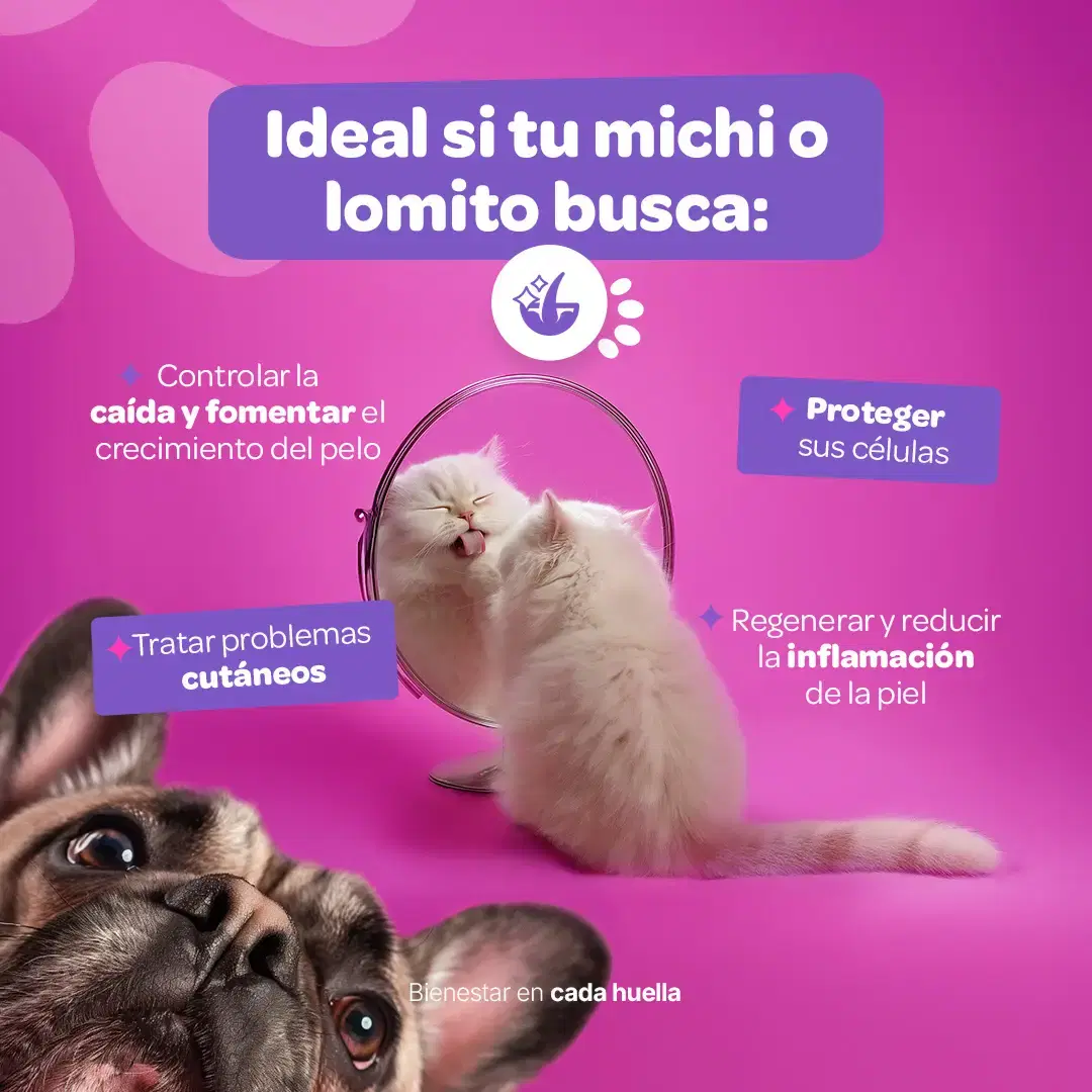 Imagen de Suplemento en Polvo para Perros y Gatos | Omega 3, Cúrcuma, Complejo B y Biotina | 350 g | Sabor Res