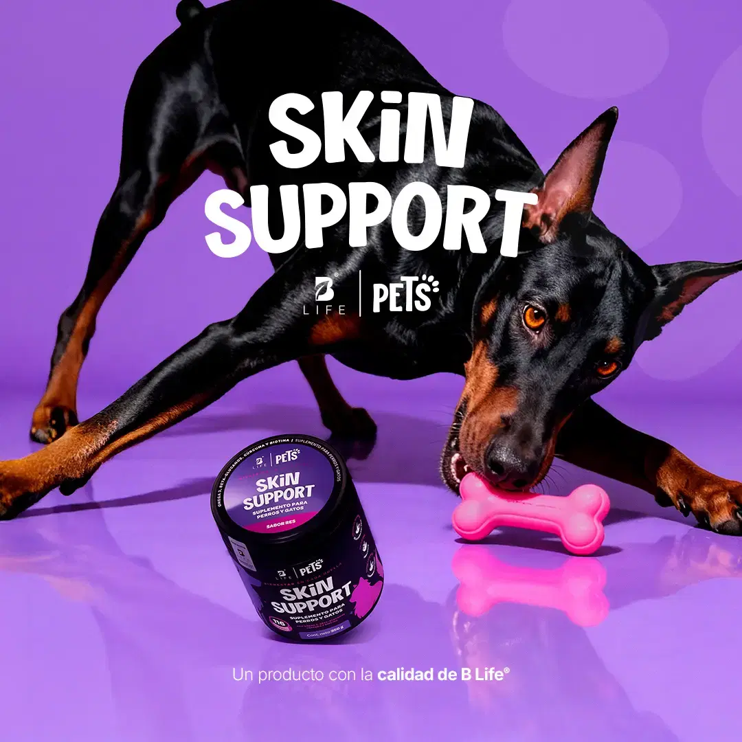 Imagen de Suplemento en Polvo para Perros y Gatos | Omega 3, Cúrcuma, Complejo B y Biotina | 350 g | Sabor Res