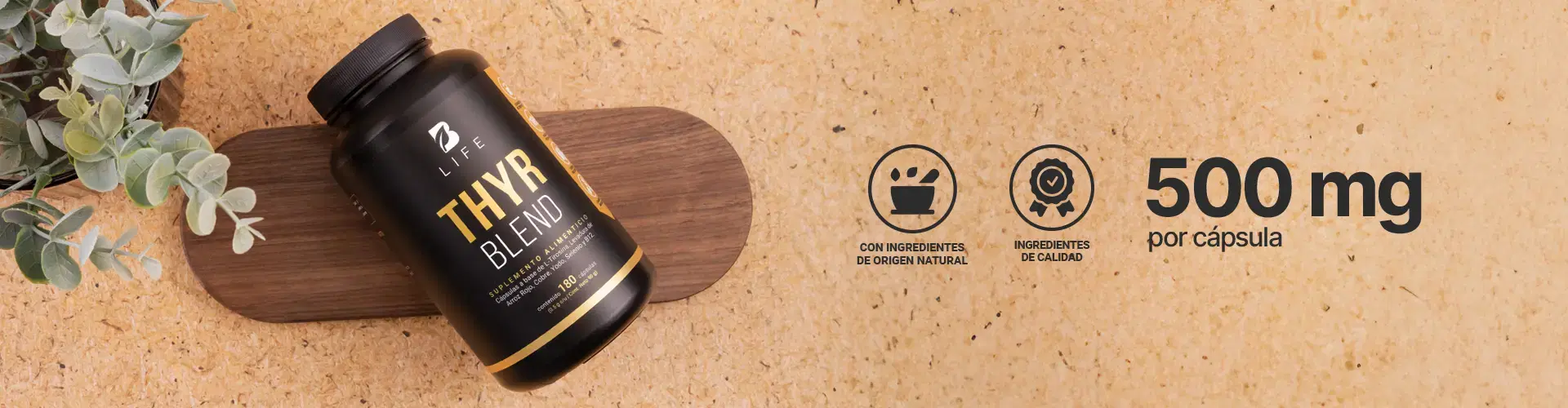 Descubre más productos para tu bienestar Descubre más productos para tu bienestar