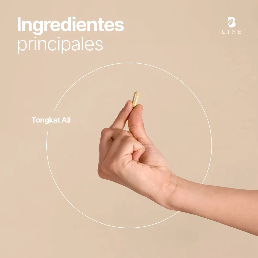 Imagen de Tong-kat Ali Puro | 1000 mg por porción | 240 Cápsulas