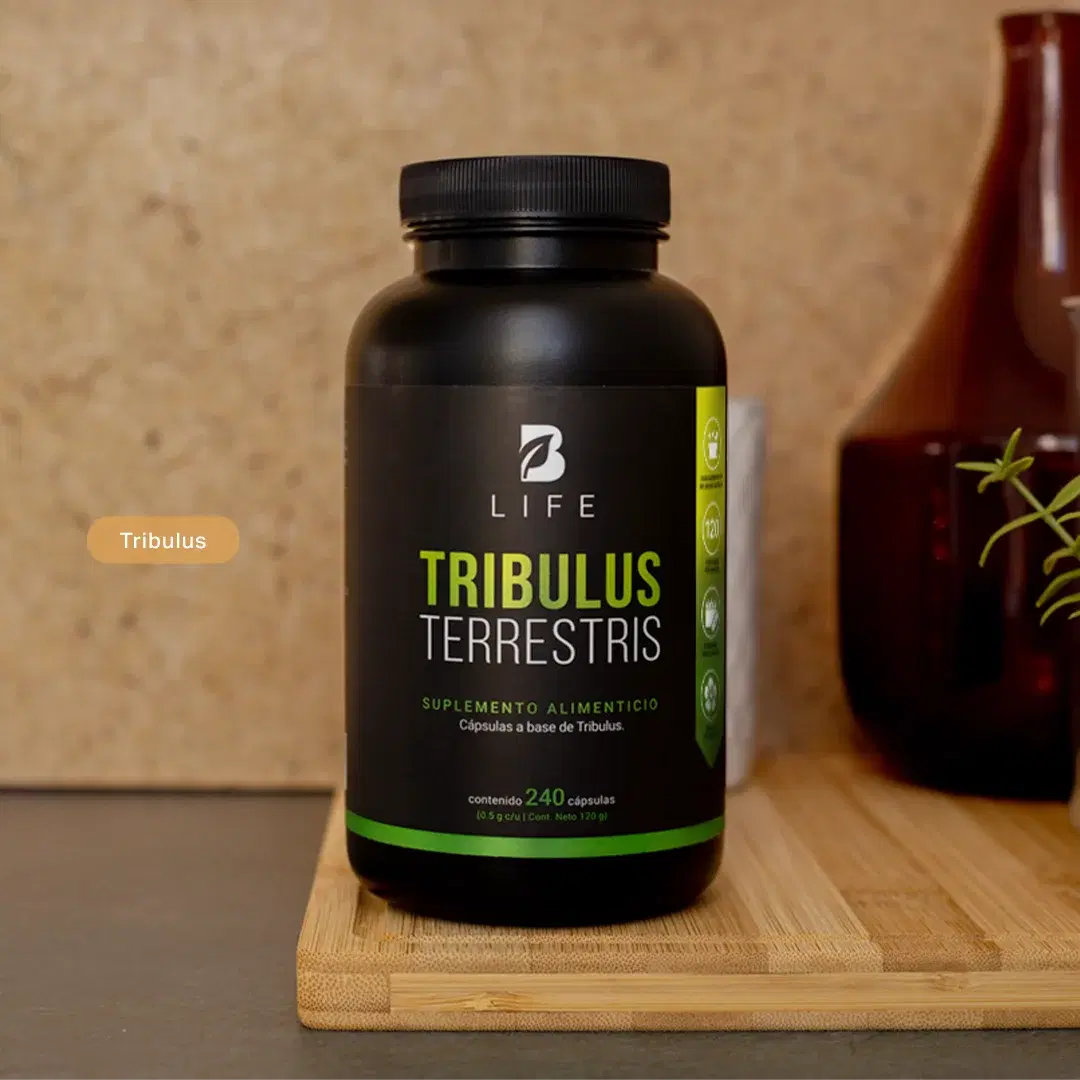 Imagen de Tribulus Terrestris Estandarizado al 45% | 1000 mg por poción | 240 cápsulas
