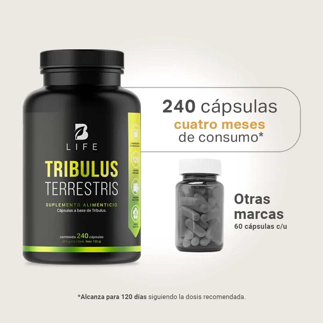 Imagen de Tribulus Terrestris Estandarizado al 45% | 1000 mg por poción | 240 cápsulas