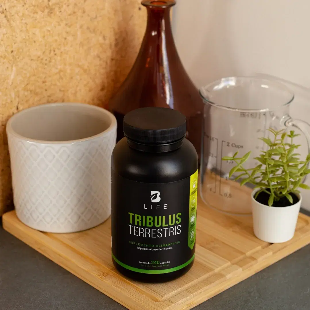 Imagen de Tribulus Terrestris Estandarizado al 45% | 1000 mg por poción | 240 cápsulas