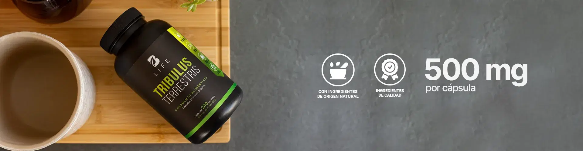 Descubre más productos para tu bienestar Descubre más productos para tu bienestar