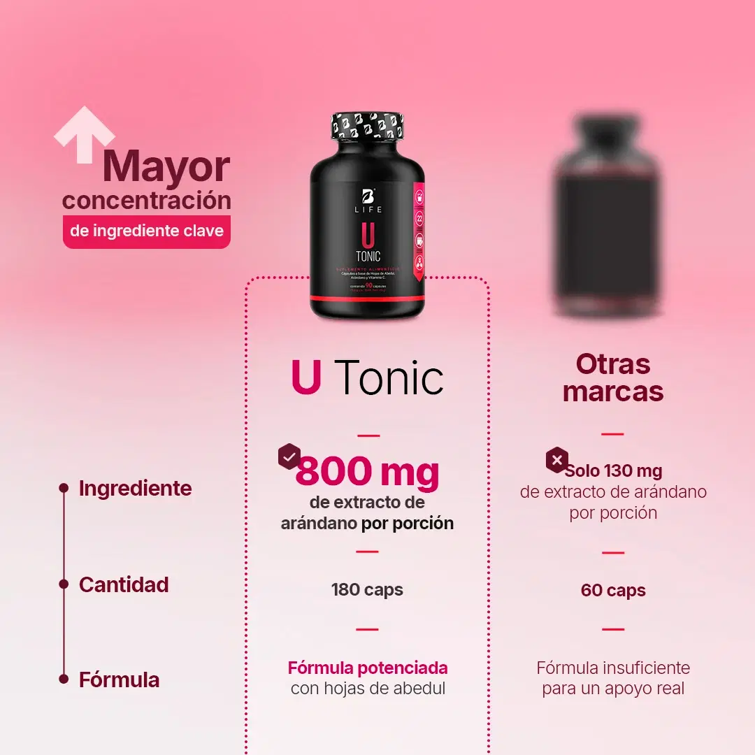 Imagen de Mezcla con Hojas de Abedul, Arándano y Vitamina C