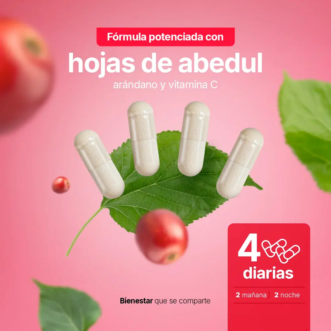 Imagen de Mezcla con Hojas de Abedul, Arándano y Vitamina C