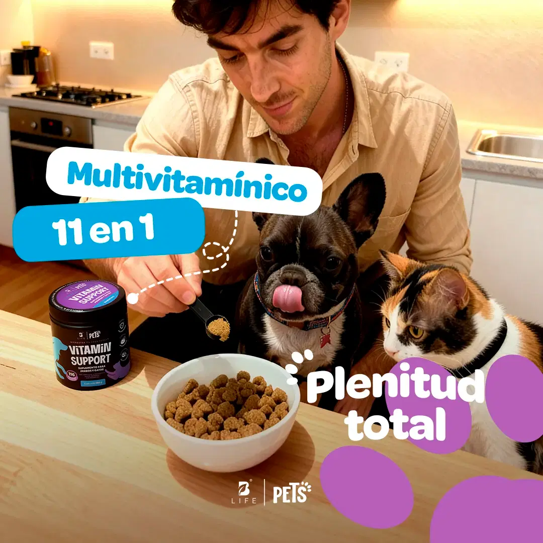 Imagen de Multivitamínico Perros y Gatos | Potenciado con Magnesio, Calcio y Vitamina C | 350g | Sabor Res