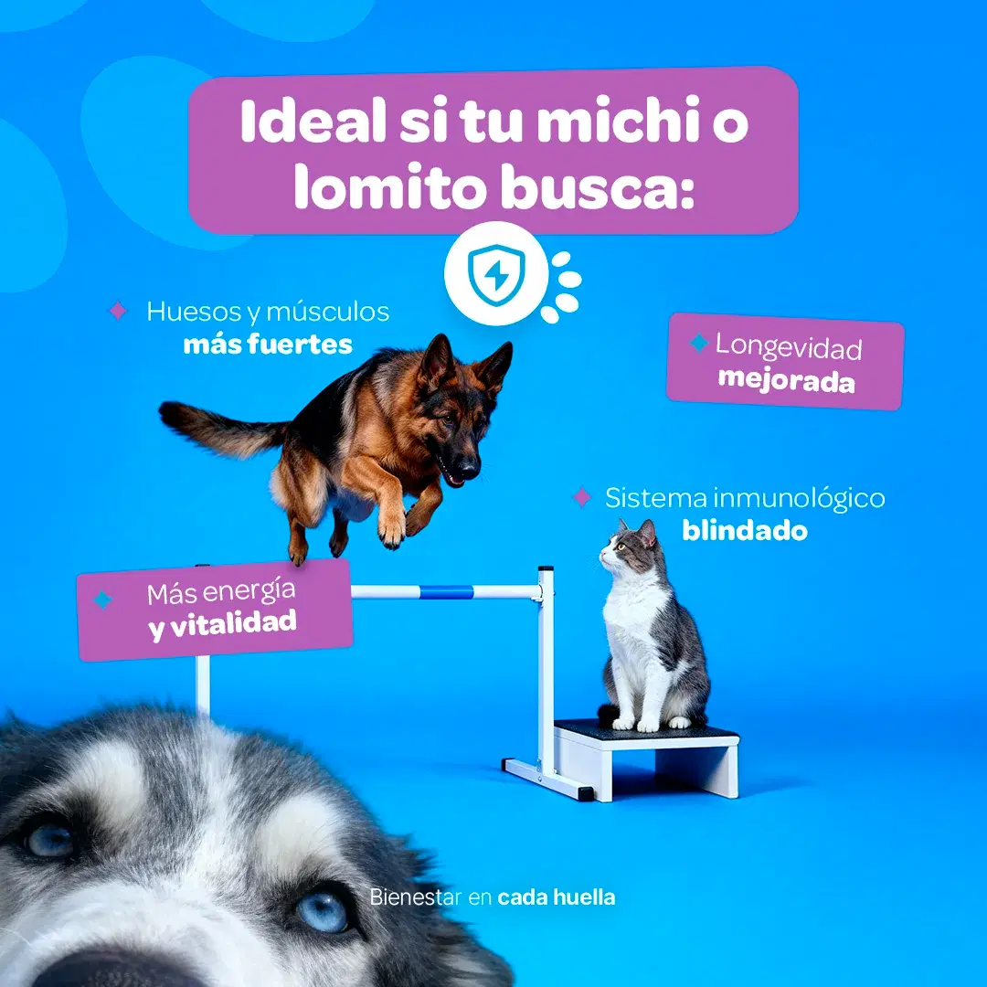 Imagen de Multivitamínico Perros y Gatos | Potenciado con Magnesio, Calcio y Vitamina C | 350g | Sabor Res