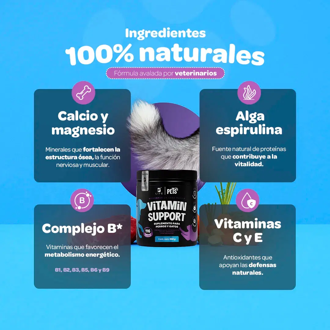 Imagen de Multivitamínico Perros y Gatos | Potenciado con Magnesio, Calcio y Vitamina C | 350g | Sabor Res