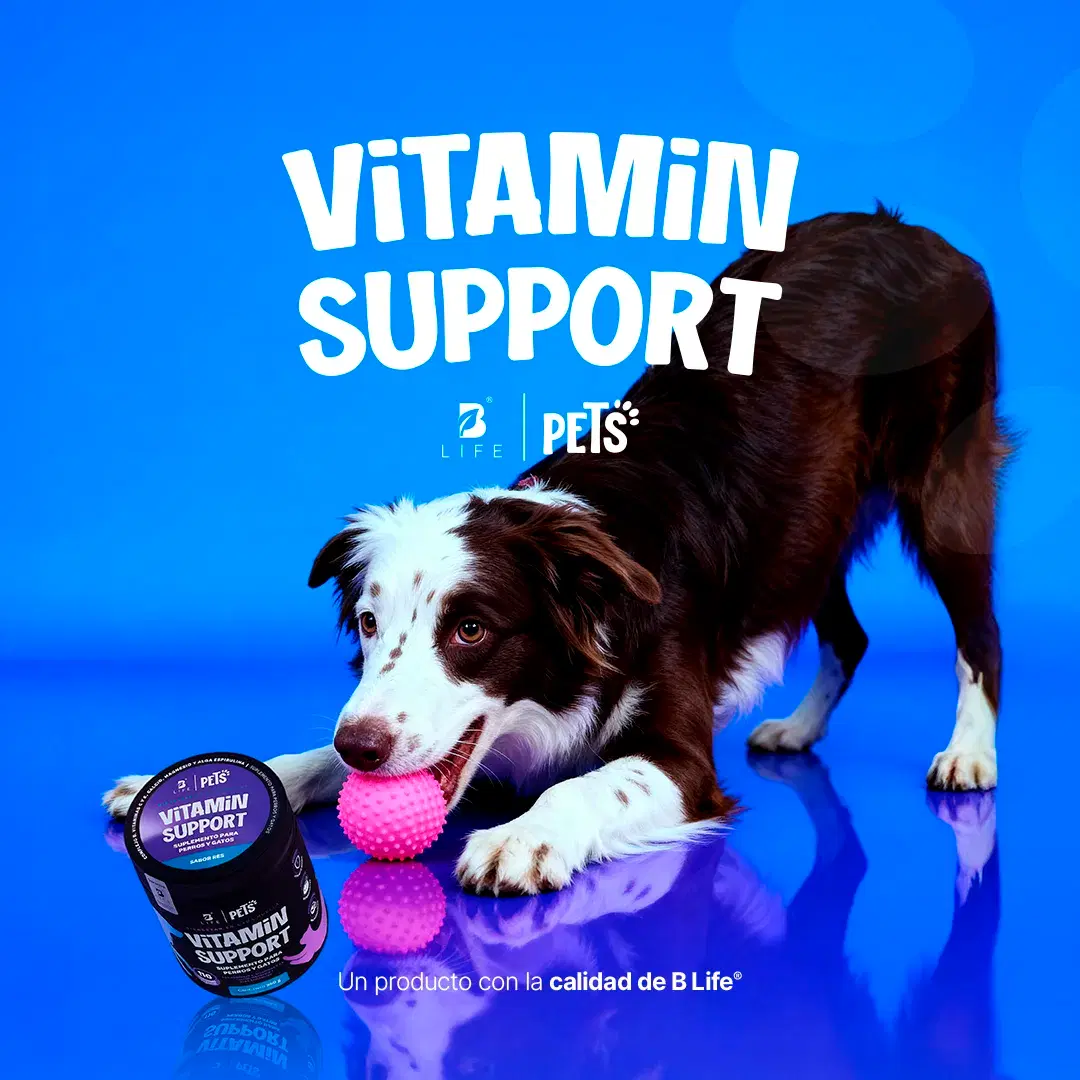 Imagen de Multivitamínico Perros y Gatos | Potenciado con Magnesio, Calcio y Vitamina C | 350g | Sabor Res