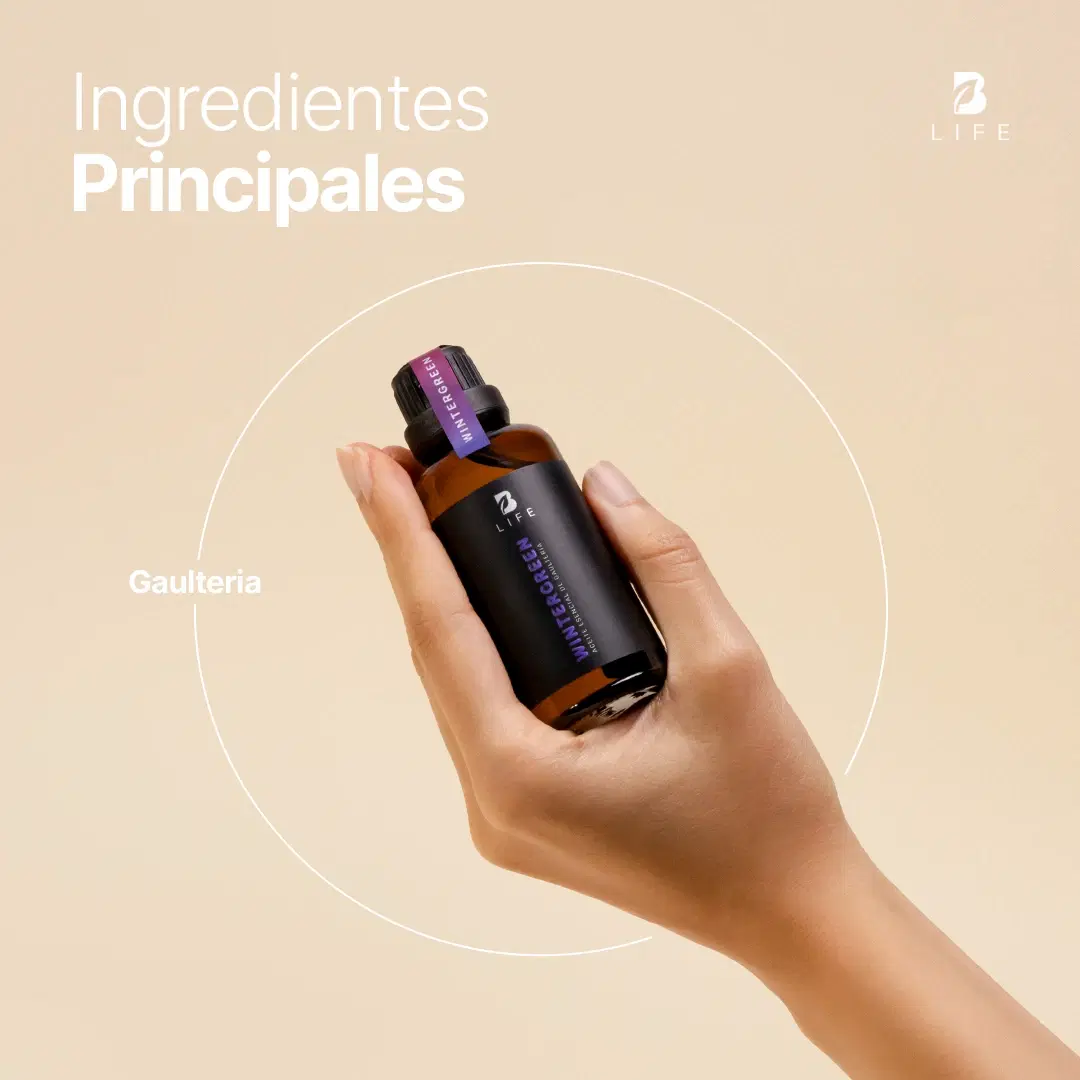 Imagen de Wintergreen Essential Oil | Aceite esencial de Gaultheria 50 ml