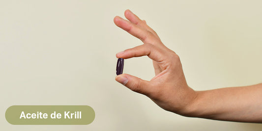 Beneficios de consumir aceite de krill