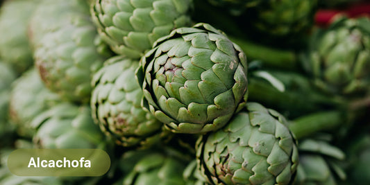 La alcachofa: Un tesoro nutricional para la salud