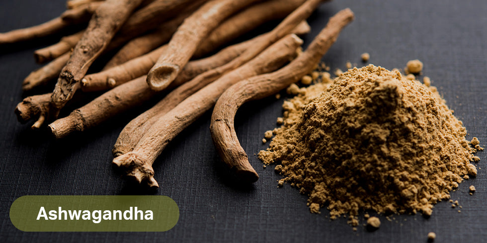 Ashwagandha: La joya para el manejo del estrés