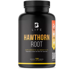 Hawthorn Root | Raíz de Tejocote